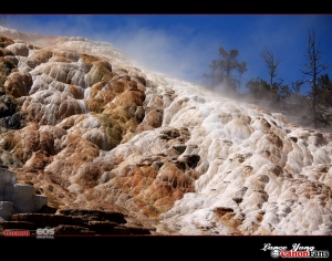 黃石公園趴趴走