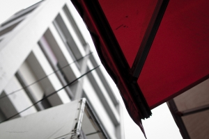 生活中小小的驚喜