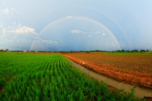 雨後彩虹 Ef8-15mmL