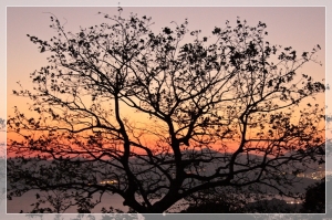 一張流~~城市背後