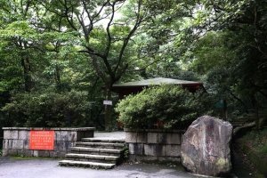 (6D)新山夢湖&nbsp;&nbsp; 24-70 f4、小小白IS