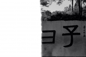 台南孔廟(黑白底片)