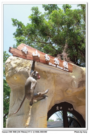 壽山動物園遊記
