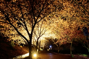 ++ 索羅門 台中和平~雨之武陵 ++