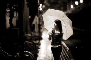 In the Night 小金魚