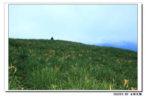 六十石山 花季報導一張流