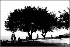 [NEX] 極簡風 -- 玩樂創意, 拍你的想法