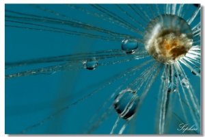 [450D]20100426 part2