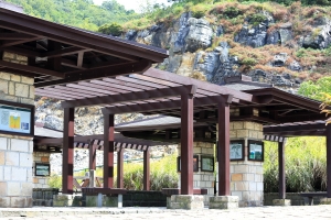 八月桂花香(丹桂)