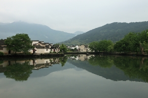 來個油菜花吧(徽南)