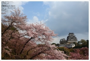 京都大阪隨手拍