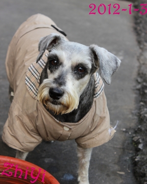 Hey！我的隨意拍又來囉！！（表情還是誤！？）