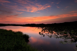 6/13 和 6/15 火燒雲