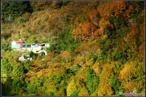 霞喀羅古道 1218近況