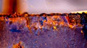 半夜十二點  星空 倒影 新竹-港南  太美了!!!!!!