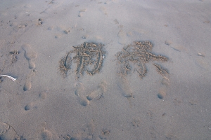 8/9又是南寮啦XD~