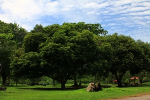 为什么水平线这么难捉之风景照