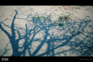 「erase」 ＊小潔＊