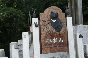 拉拉山二日遊(神木與小瀑布)