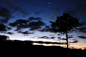 台18--阿里山日出