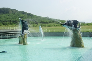 屏東海生館半日遊