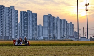新农村