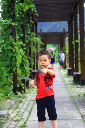 猴硐戲貓、十分賞瀑