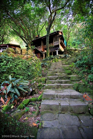 山中傳奇 - 「黃蟬園」