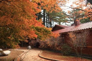 感謝各位厚愛，升格到元老了