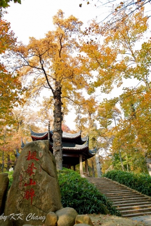 蘇州天平山亂拍