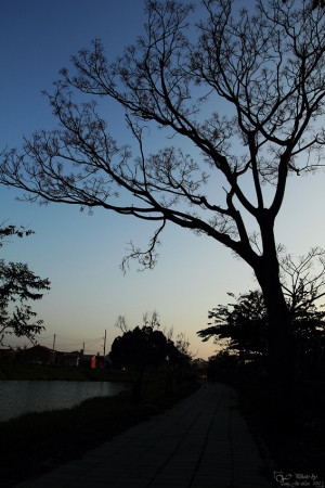 20120204 台南月津港燈節