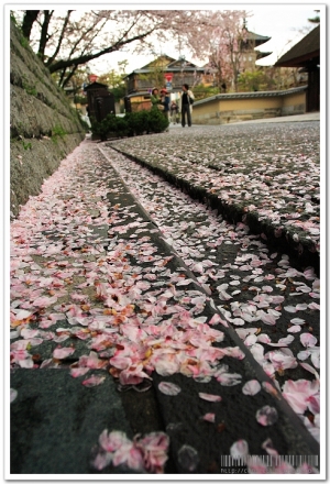 京都 - 舞妓體驗