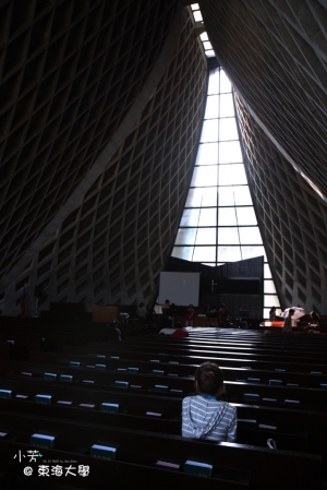 東海大學 小草約拍~