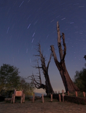 星軌拍攝技巧分享