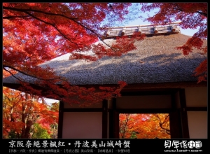 日本賞楓-奈良鹿苑-京都美山聚落-城崎啃螃蟹