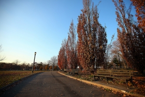 C 16-35 ll VS. T 116 ll 不負責任測試----Ryan83