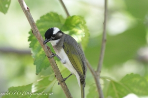 攝影最不能犯的錯之失敗作品...