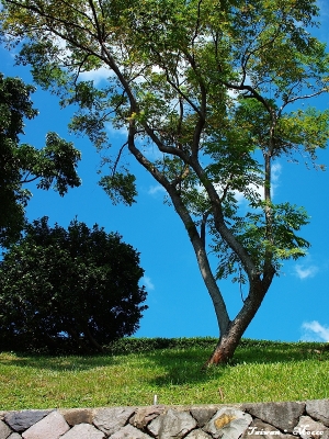 Fort San Domingo at Tamsui 淡水紅毛城