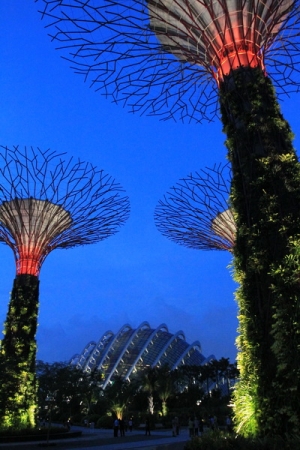 新加坡海濱公園