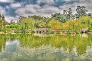 相機日記88： 南加州 - The Huntington HDR & 微距