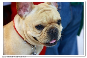 最近聽說你很紅，名模都把你穿在身上