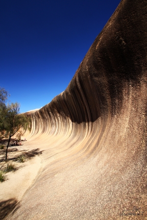分享澳洲一些風景