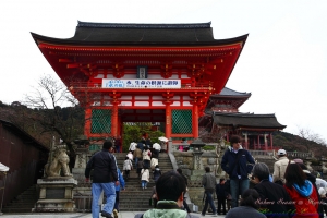 Kyoto, Japan - 桜の降りしきる京都 - VOL 4.4 - 清水寺、地主神