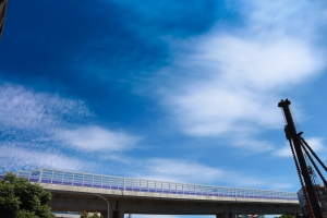 高鐵站附近隨拍 圖多