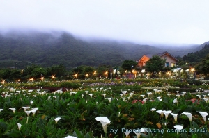 竹子湖隨拍(不專業的外拍文)