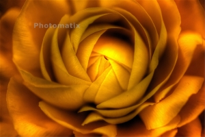 又來些HDR,有點浮誇的,傷眼勿怪喔