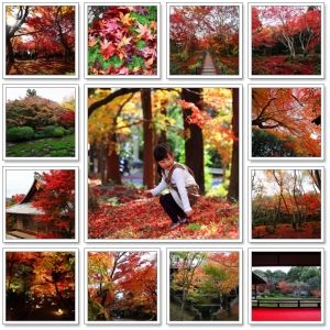 2012 手工月曆 搶先發行 (京都篇) - 2012 Calendar - Kyoto