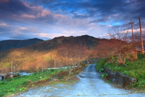 東遊記-第二天金針山賞花