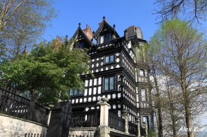 春遊清境--老英格蘭