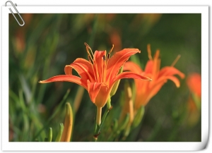 六十石山~~好美~~